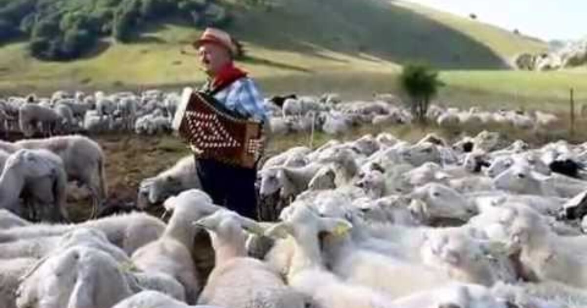 Pasquella tra le pecore di Castelluccio