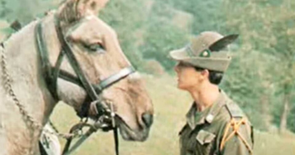 Pasta, fagioli e ceci - Canto degli Alpini.