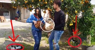 Valentina Donato e Fortunato Stillittano – Tarantella per i gatti