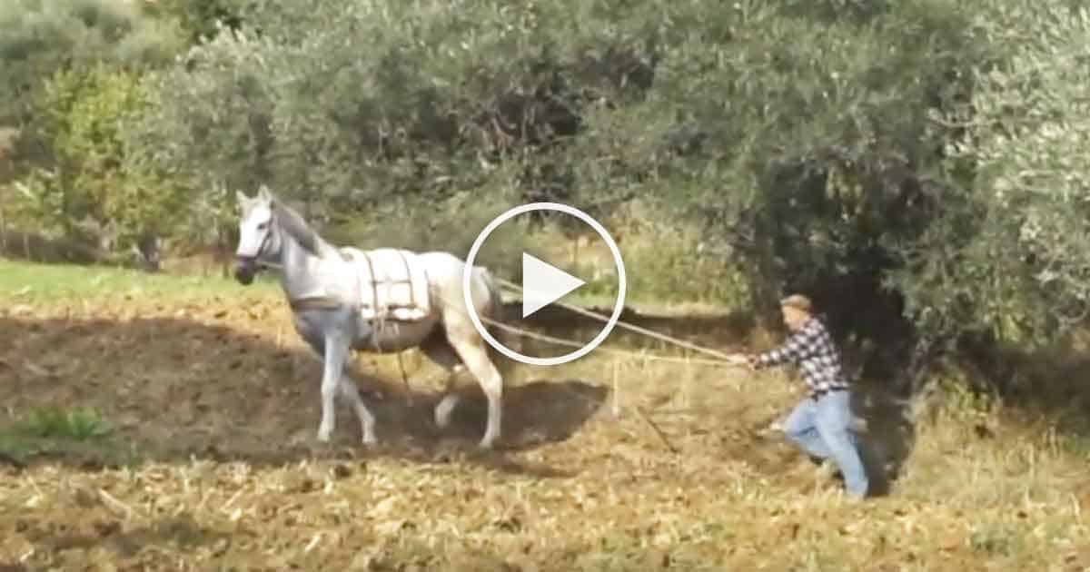 Canti di Lavoro in Sicilia – Docufilm di Pino Biondo